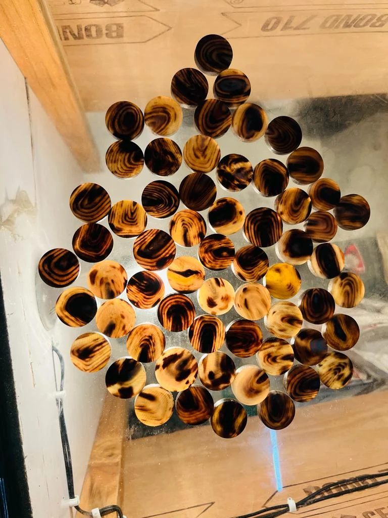 Buffalo Color Blank Button - Image 4