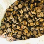 Cow Color Blanks Button