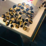 Cow Color Blanks Button