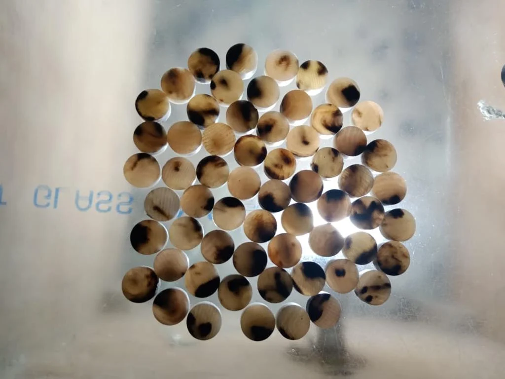 Cow Color Blanks Button - Image 4