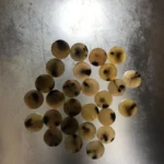 Cow Color Button Blanks