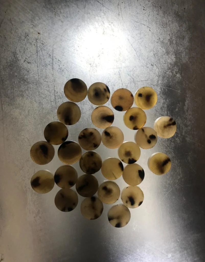 Cow Color Button Blanks - Image 2