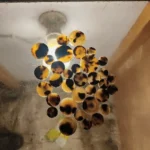 Cow Color Blanks Button