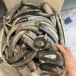 Buffalo Horn Color Tips