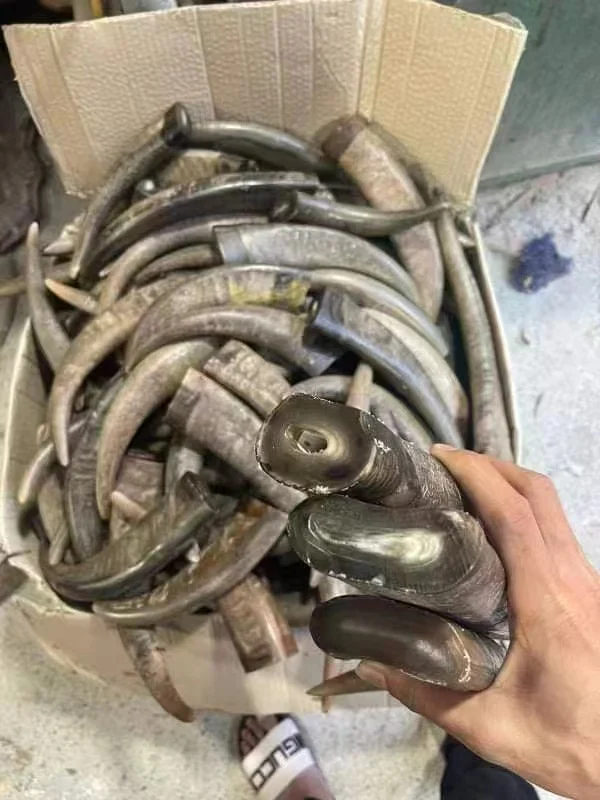 Buffalo Horn Color Tips - Image 4