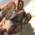 Buffalo Horn Color Tips