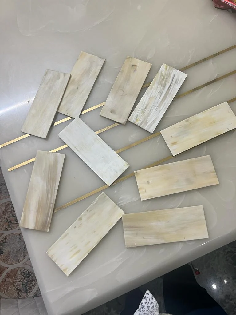 White Horn Plates - Image 2