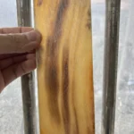 Buffalo Horn Color Plates