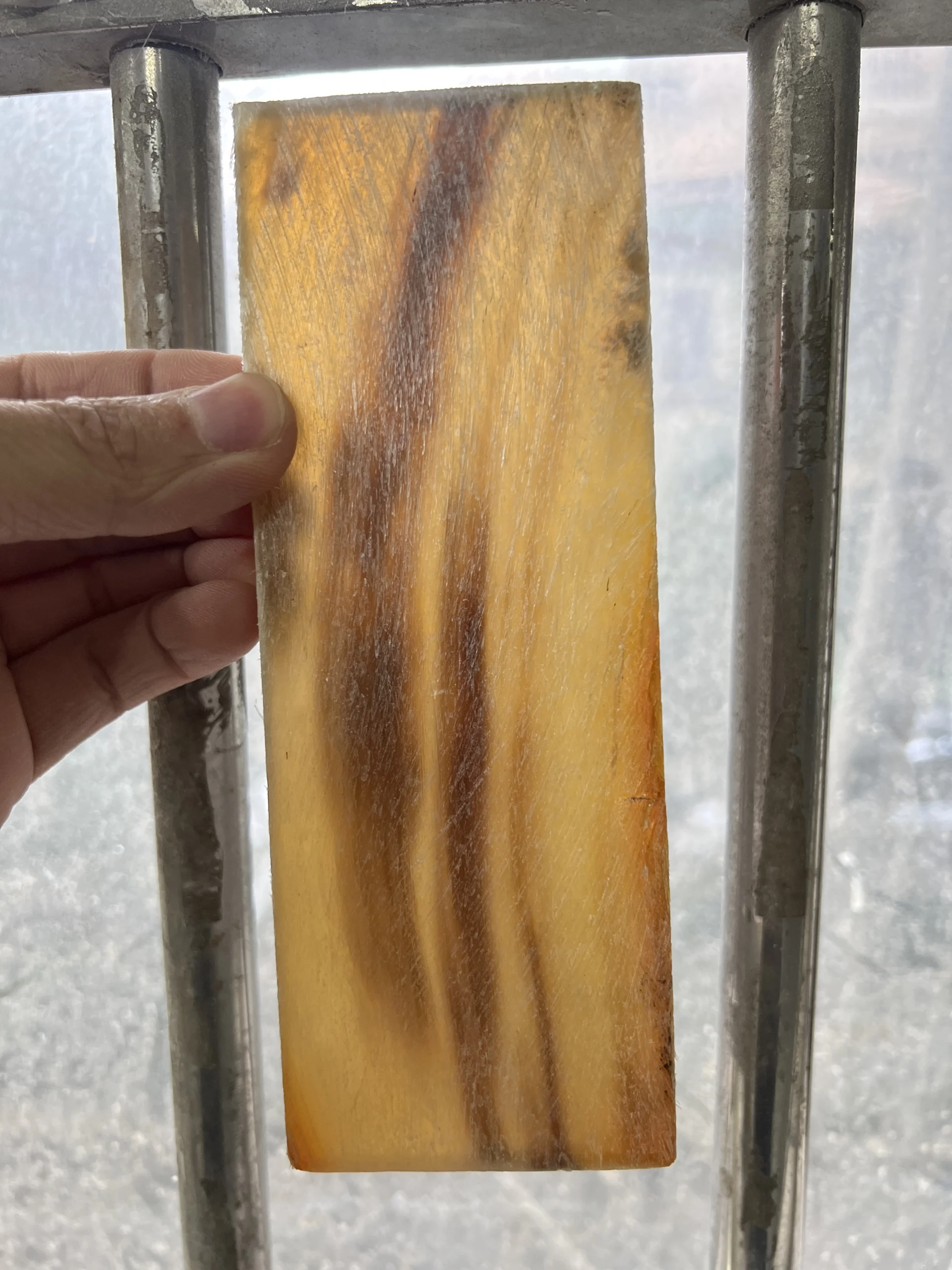 Buffalo Horn Color Plates - Image 2