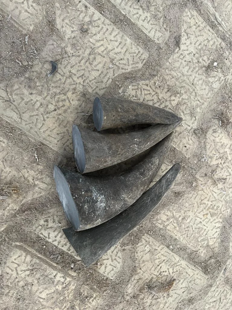 Buffalo Horn Tips - Image 2