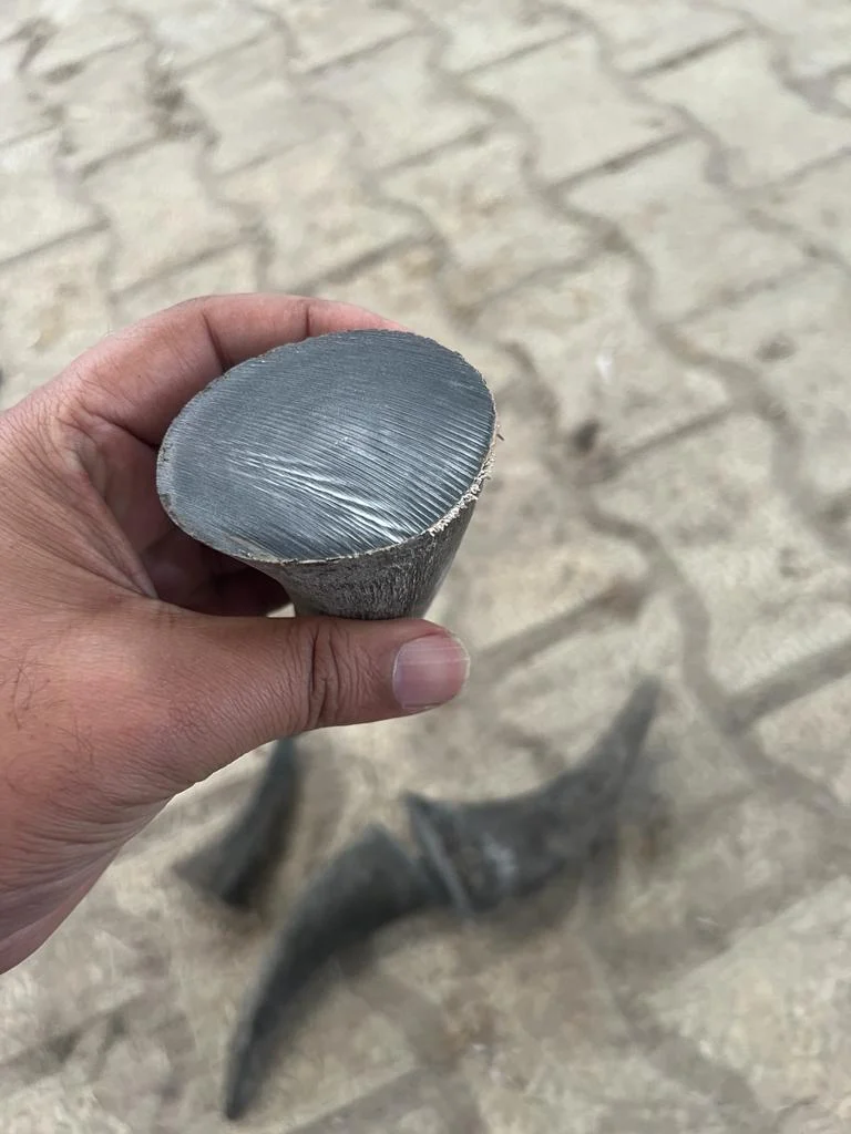 Buffalo Horn Tips - Image 3