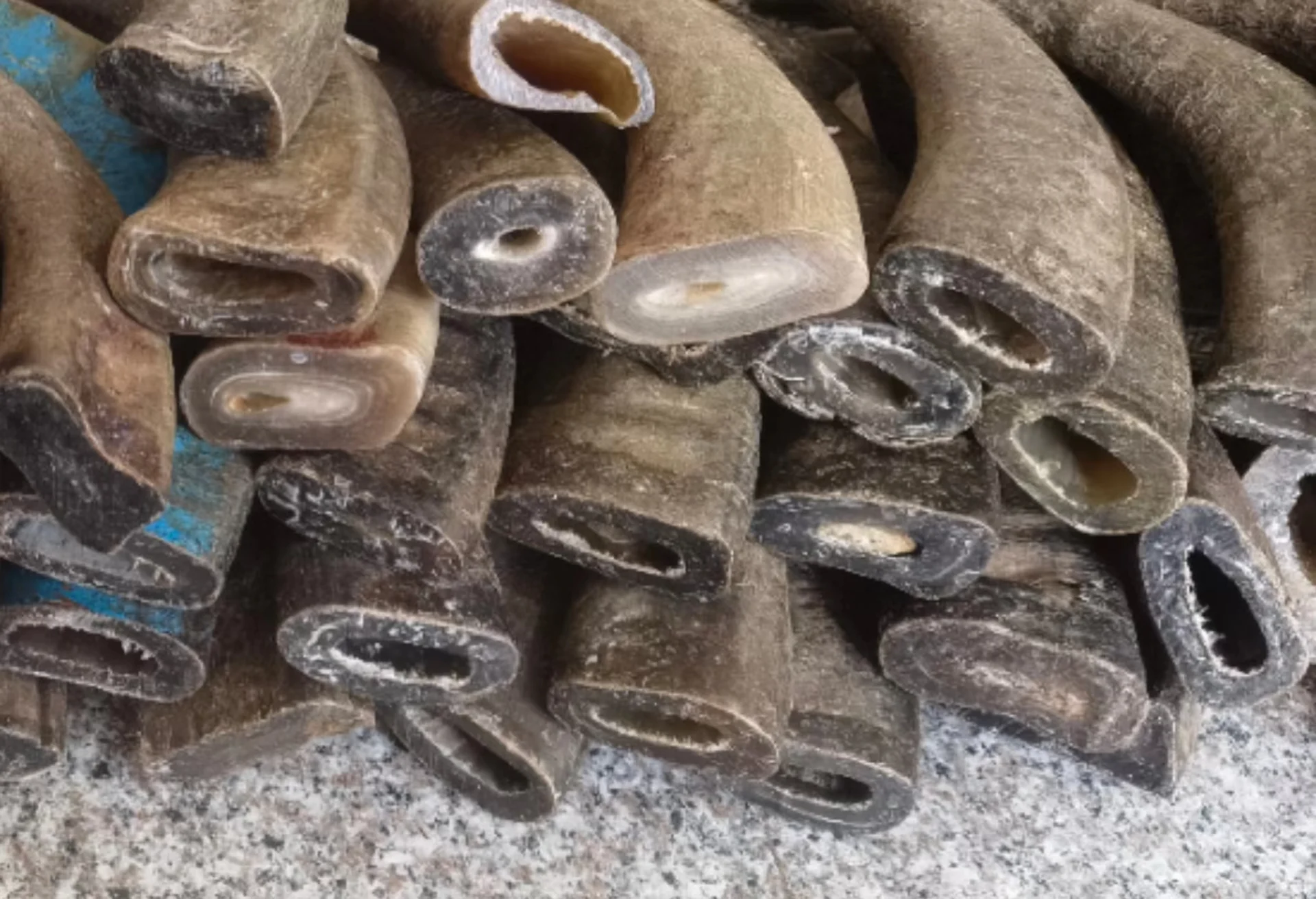 Buffalo Horn Color Tips - Image 3