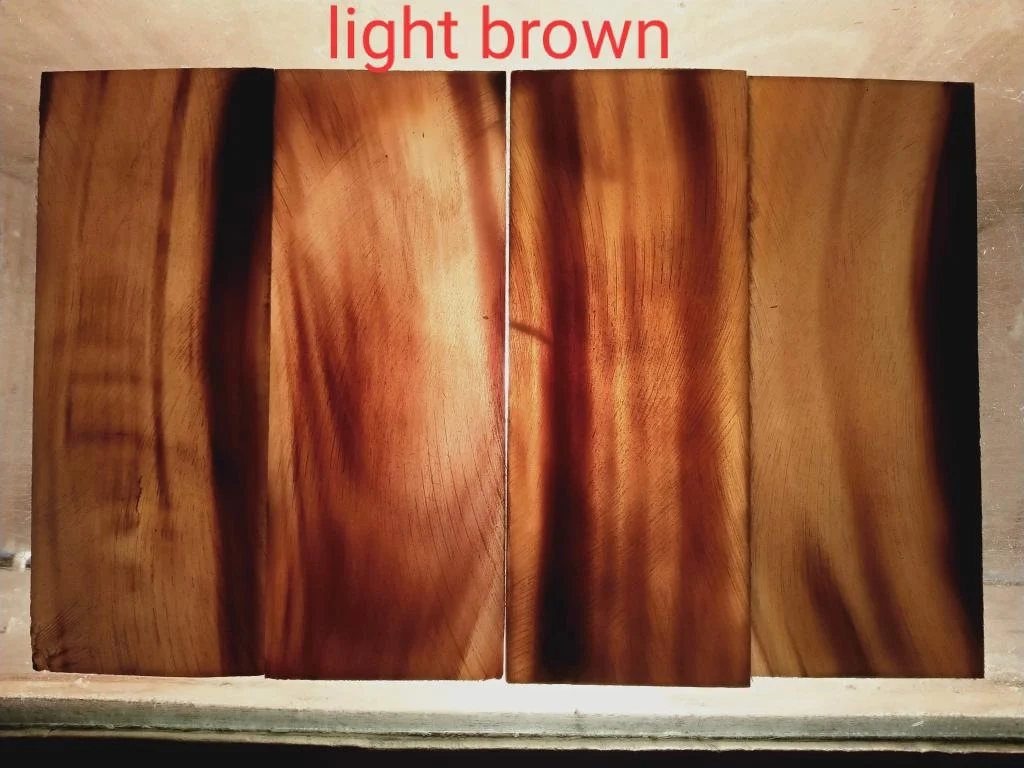 Buffalo Horn Plates - Image 3