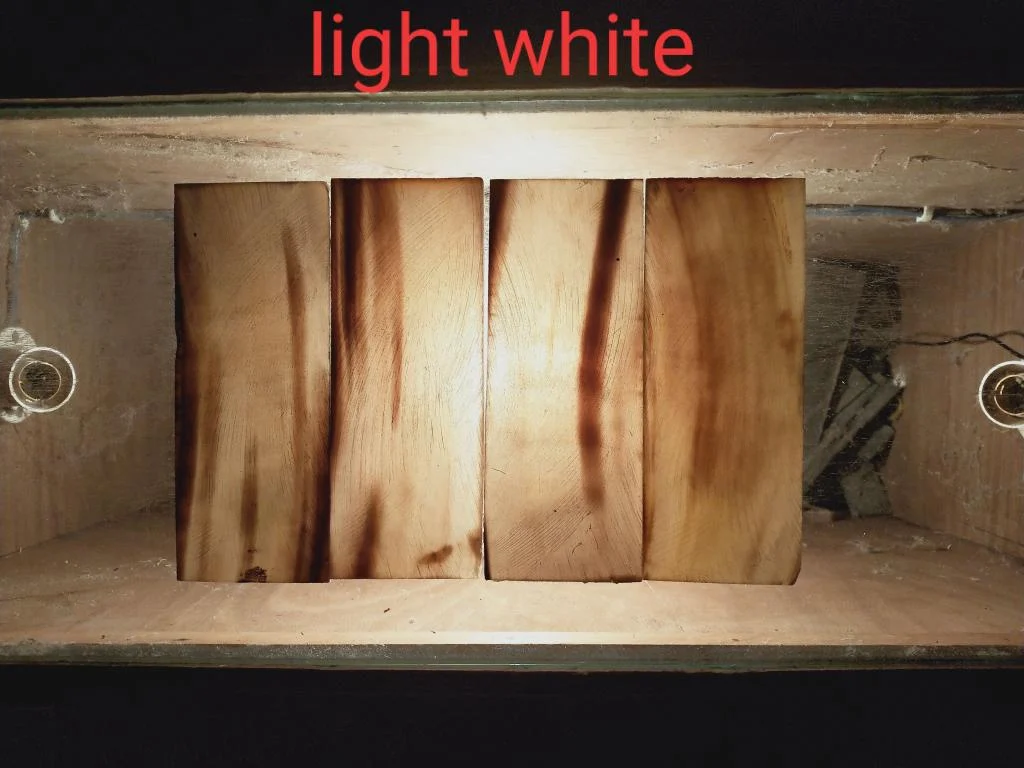 Ox Horn Plates - Image 2