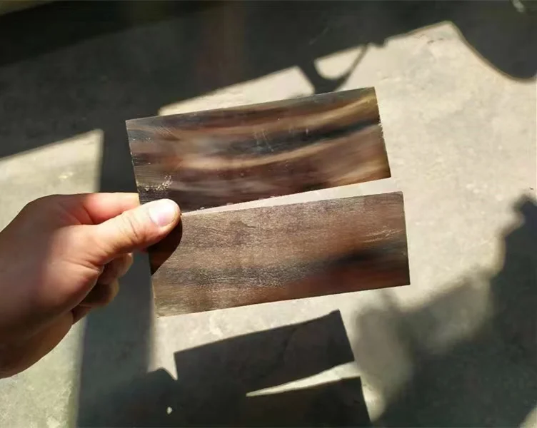 Buffalo Horn Plates - Image 2