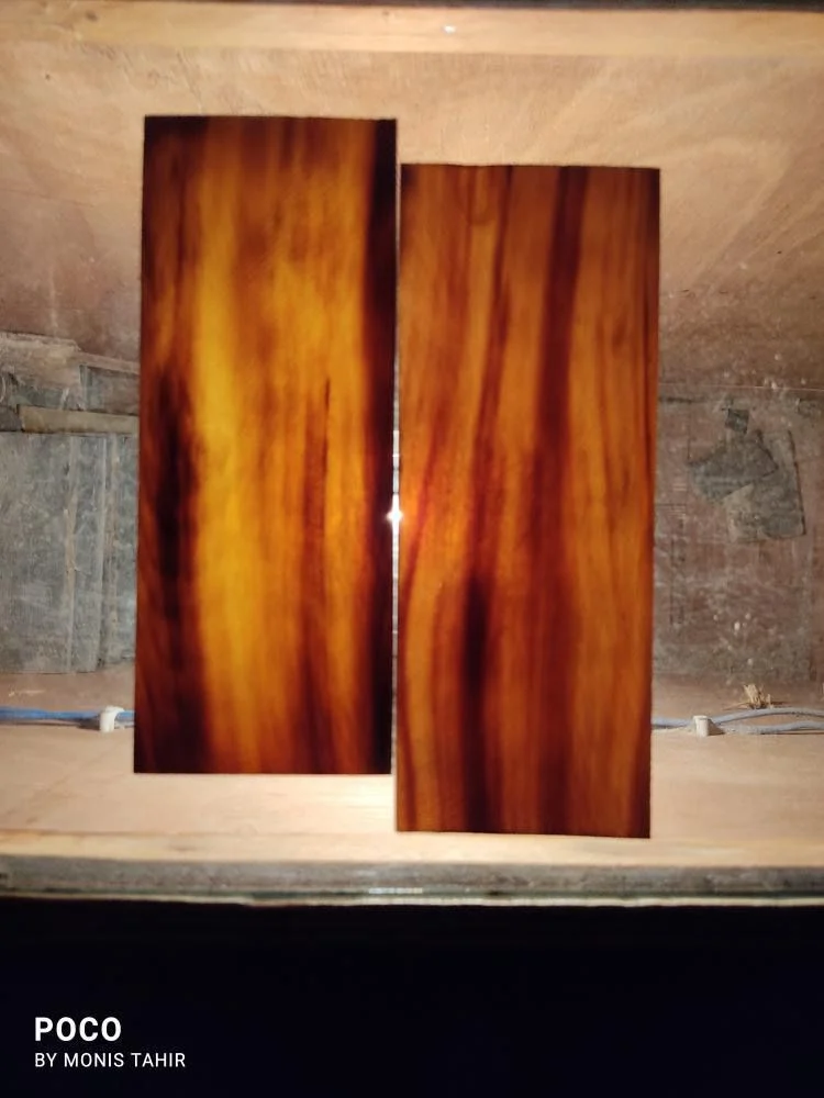 Horn Plates - Image 2